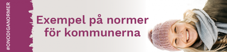 Exempel på normer för kommunerna