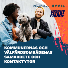 Julkaisun kansi